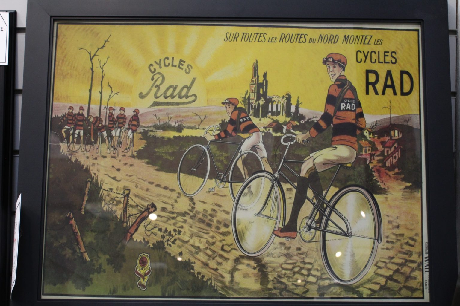 rad cycles